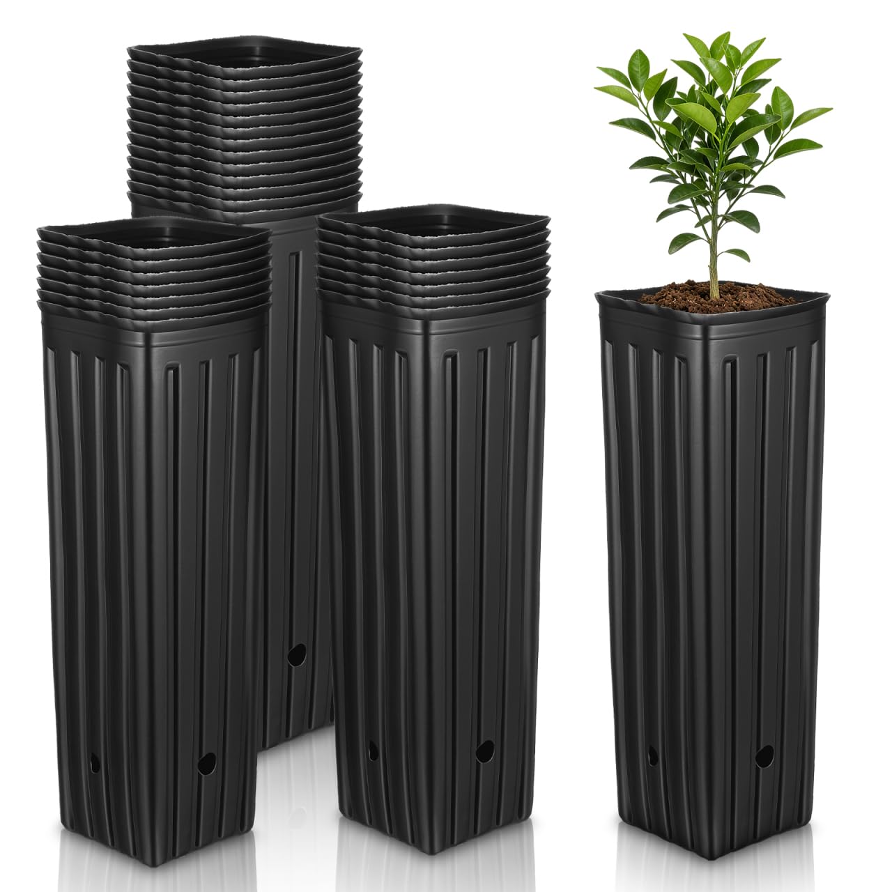Sewroro 30 Pcs Plant Grow Bags Plastic Thickened Nursery Seedling Bags Gardening Planting Containers for Trees and Flowers