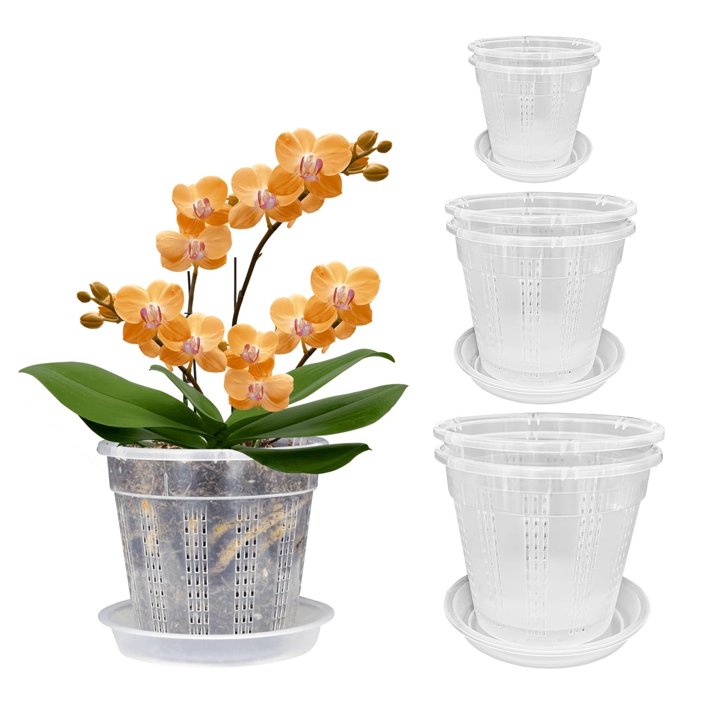 Orchid Pot with Saucers, 2 Each of 4.3",5.5",6.1" Orchid Pots with Holes, 6Pcs Clear Plastic Planter for Indoor Outdoor Plants (2 Each of 4.3,5.5",6.1" with Saucers)