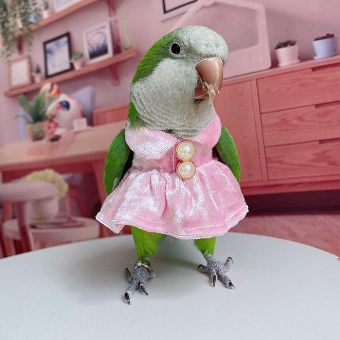 Bird Costume Bird Diaper Flight Suit Parrot Velvet Fleece Skirt Clothes Cosplay Photo Prop for Conure Lovebird Parakeet Cockatiel Macaw Small Animals Apparel (Pink,Large)