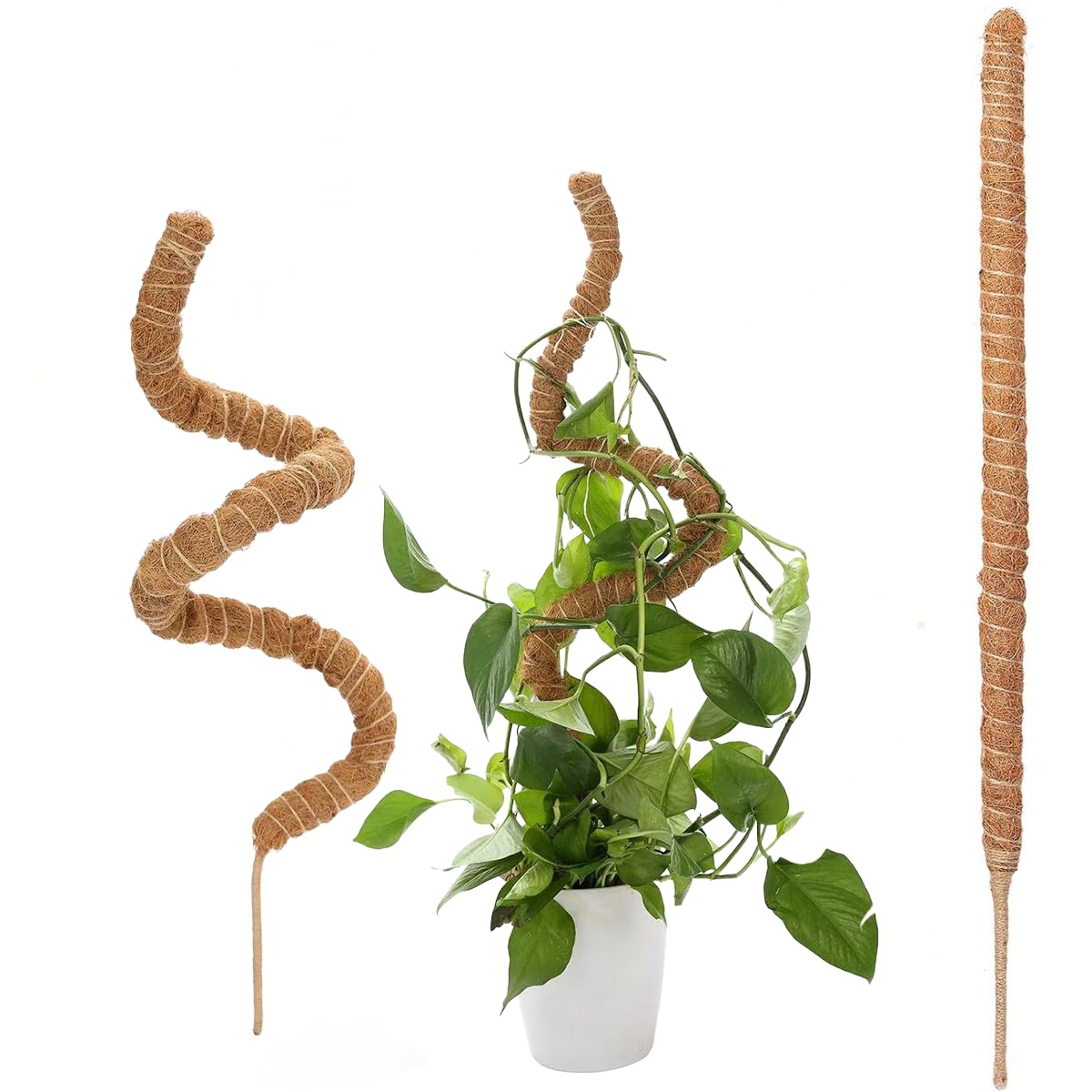 BIESTJP Monstera Plant Support,Bendable Coco Coir Pole for Monstera Plant Supports Indoor Plants, 63 inch Moss Pole Support for Climbing Plants