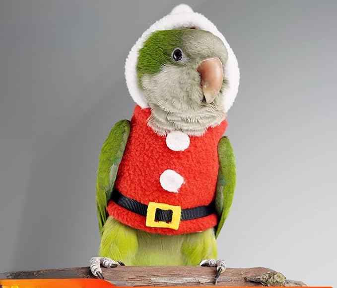 Bird Clothes Birds Flight Suit, Christmas Hoodie for Parrots Cockatiel Sun Conure Christmas Party Cosplay Photo Prop Bird Shirt Small Animals Apparel (with Diaper,Senegal)