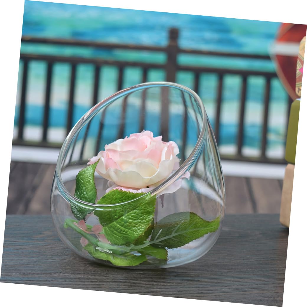 LIFKOME Glass Terrarium Jar Large Fish Bowl Vase Decor Indoor Plant Vase Open Design
