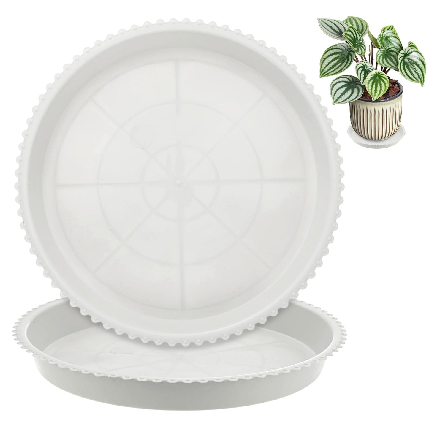 M METERXITY 2-Pack Plastic Plant Saucers, 6.6 Inch ID Round Plant Pot Water Trays for Indoor/Outdoor, Flowerpot Drip Tray [7.7 Inch OD, White]