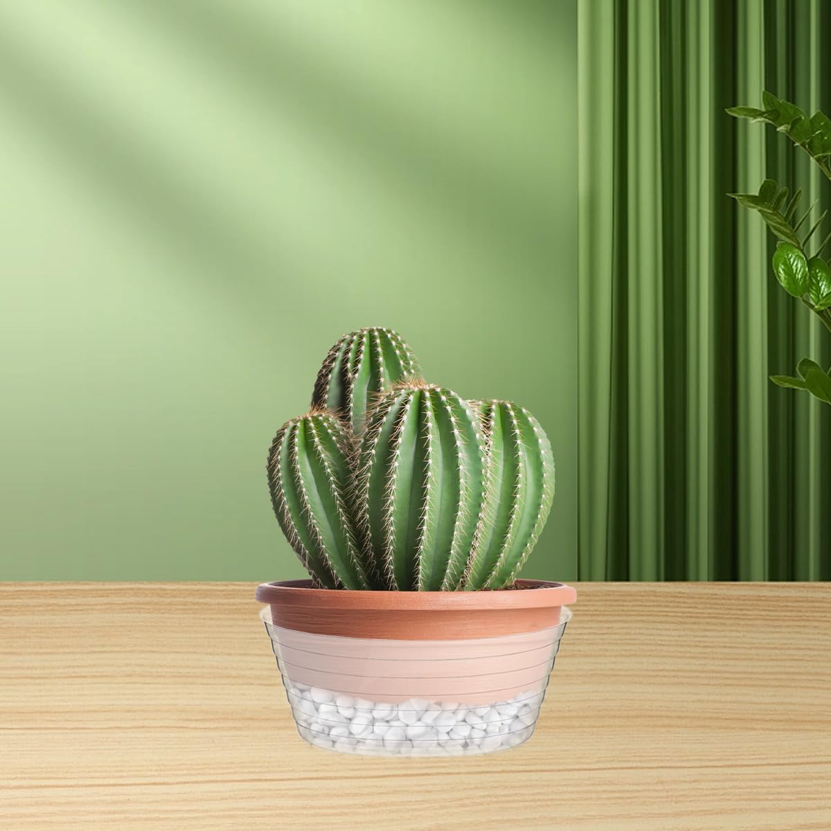 Hyuetrsa 21 Pcs Clear Deep Drip Tray Plastic Plant Saucer 6/8/10 Inch Plant Drip Trays Thickened Clear Plant Saucers Flower Drip Tray for Indoor and Outdoor Plants