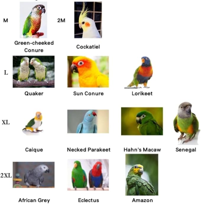 Bird Costume Bird Diaper Flight Suit Cute JK Dress Dress Skirt Clothes Cosplay Photo Prop for Parrots Macaw Cockatoo (Without Diaper,XL)
