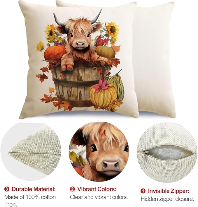 RABUSOFA Fall Decor Pillow Covers 18x18 Inch Highland Cow Autumn Decorations