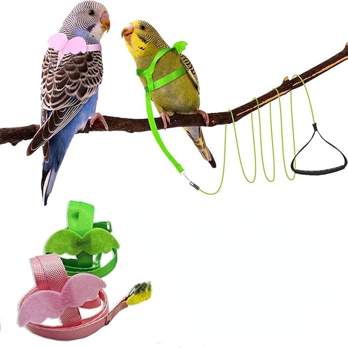 Pet Parrot Bird Harness and Leash, Adjustable Training Design Anti-Bite, Bird Nylon Rope with Cute Wing for Parrots, Suitable for Macaw Cockatoo Cockatiel Lovebird Conure African Grey (Green,L)