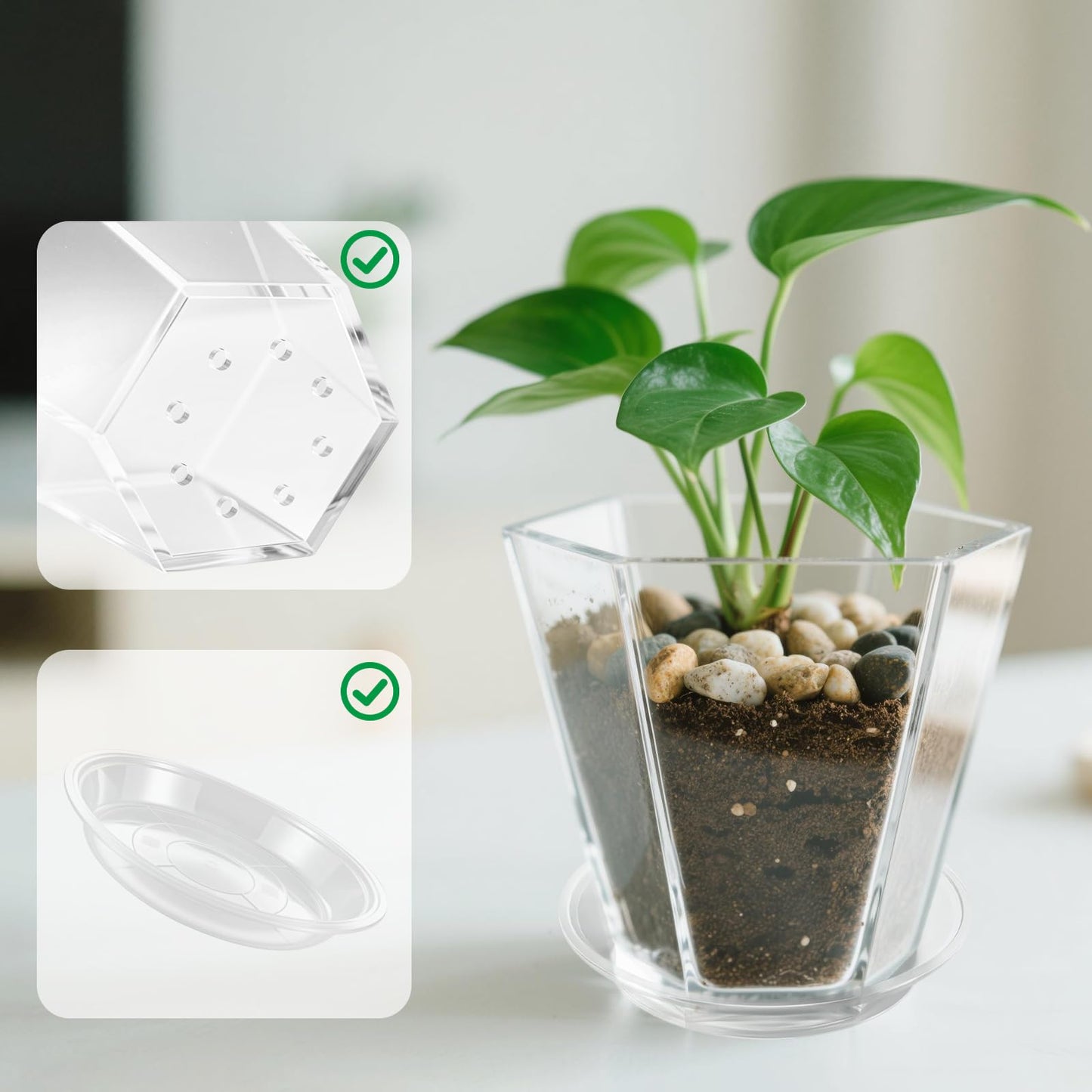 HappyDino Clear Plant Pot with Drainage Acrylic 6 inch Plant Pot Small Indoor Planter Box Outdoor with Saucer for Succulent, Decorative and Sturdy