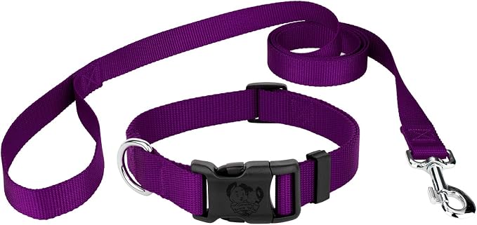 Country Brook Petz - Everyday Nylon Dog Collar and Leash - 10+ Cool Colors (3/8 Inch, Extra Small, Purple)
