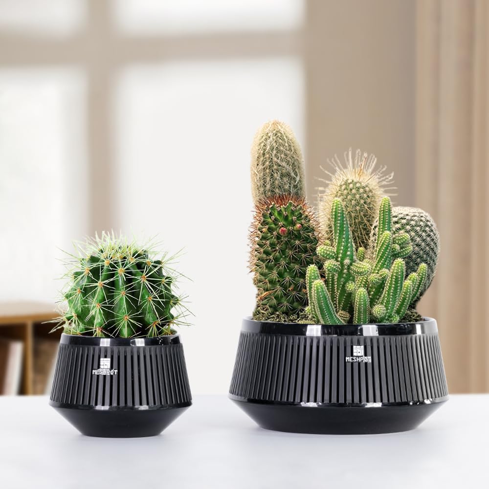 Meshpot 8 Inch Bonsai Pots with Drainage Tray, Set of 1, Plastic Imitate Ceramic Bonsai Tree Pot with Excellent Airflow, Large Succulent Pots for Indoor Plants, Juniper, Ficus, Chinese Elm, Cactus