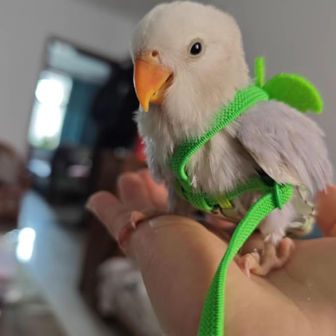 Adjustable Bird Diaper Harness Flight Suit Clothes with 80 Inch Flying Leash Rope for Parrots Conure Cockatiel (Blue,S)