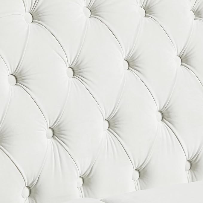 LEVNARY Chesterfield Loveseat Velvet, Upholstered Sofa