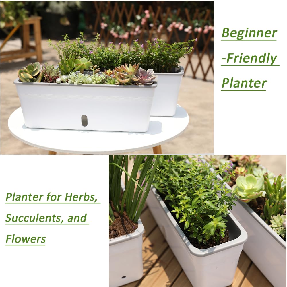 Self Watering Pots for Indoor Plants Rectangular Planter 2 Pack 17.32 inch , Water Level Window Prevent Overwatering for Herbs Vegetable Succulents Strawberry Pot for Garden Windowsill Indoor Outdoor