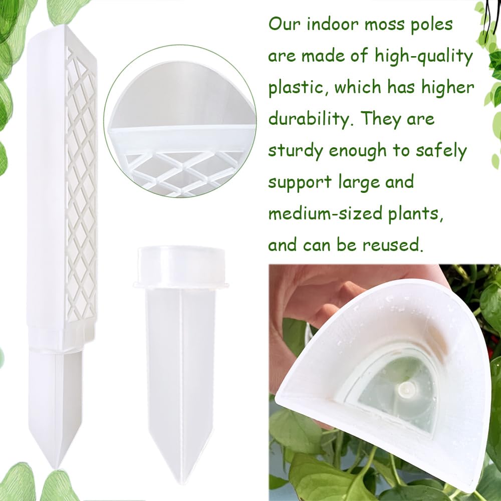 MIIIM 6 Pcs Self-Watering Moss Poles, D Shape Moss Pole Kit for Climbing Plants Indoor, Semi Transparent Monstera Plant Support, 69 Inches in Total Length