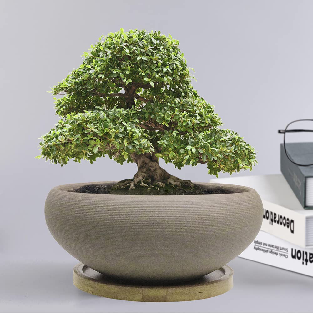 MUZHI Round Unglazed Ceramic Bonsai Pot with Bamboo Tray, Large Rough Pottery Succulent Planter with Drainage Hole 8 inch … (8”)