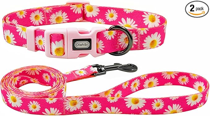 Dog Collar and Leash Set, Cute Pink Daisy Pattern, Polyester Material, 5ft Leash, for Large Dogs.(L, Daisy Set)