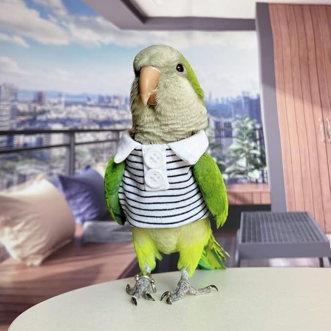 Bird Diaper Flight Suit for Parrots, Lovebirds, Parakeets & Cockatiels - Summer Clothes Cosplay Photo Prop - Small Animal Apparel (with Diaper, Budgie)