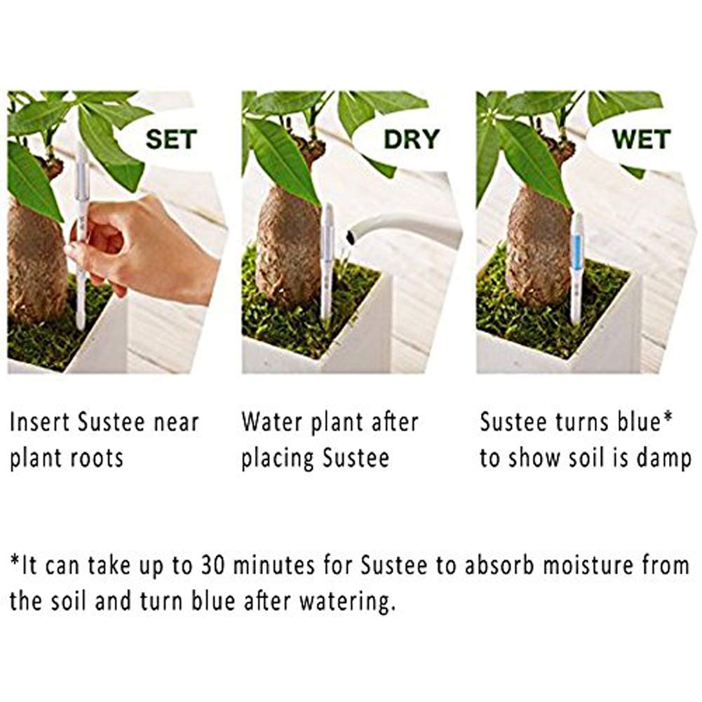 IPPINKA Sustee Aquameter (Large White Refillable - Bundle of 2) - House Plant Soil Moisture Meter, Humidity Sensor Probe, Water Level Indicator - Best for Indoor Potted Plants