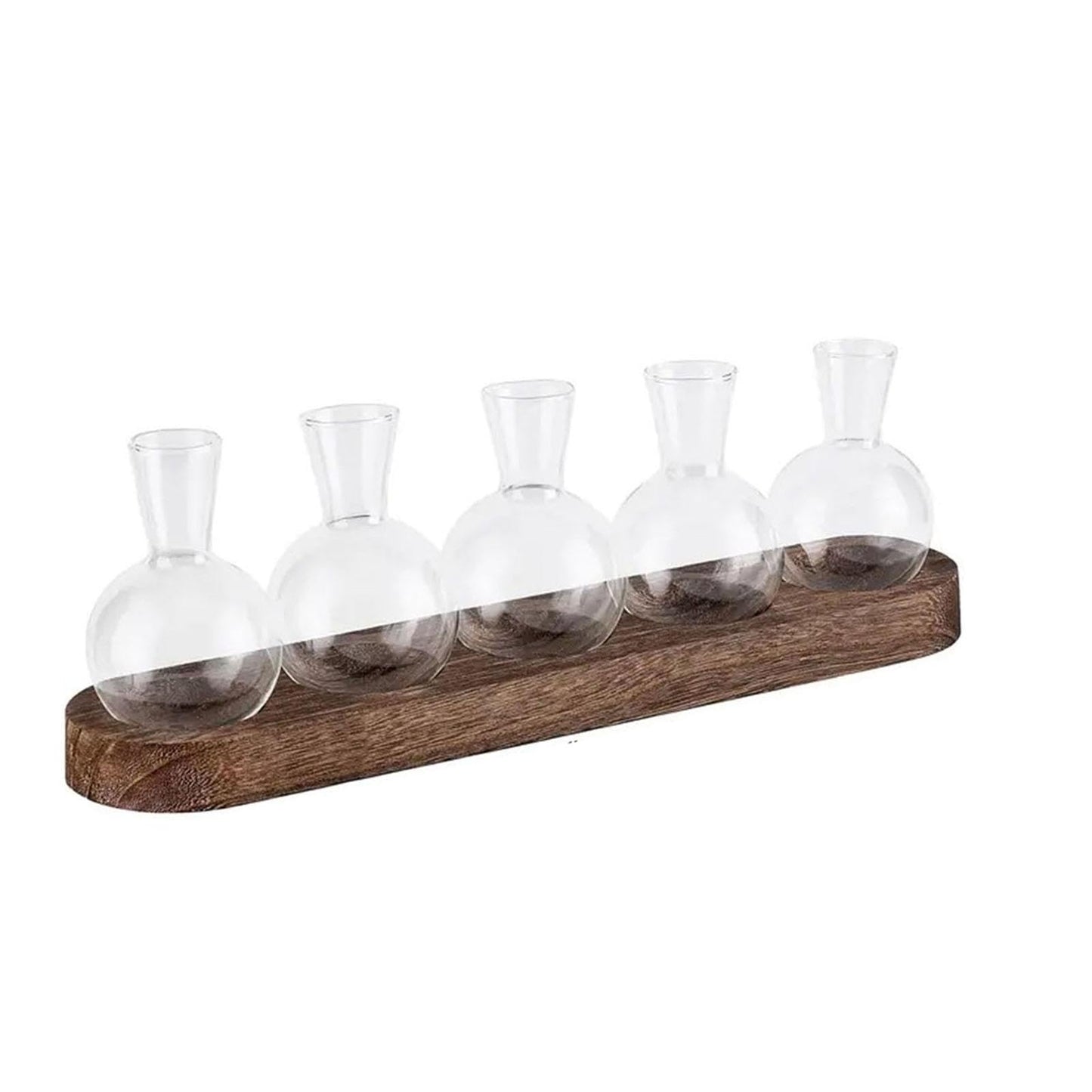 BLWOTMOR Plant Terrarium Desktop Glass Glass Vase