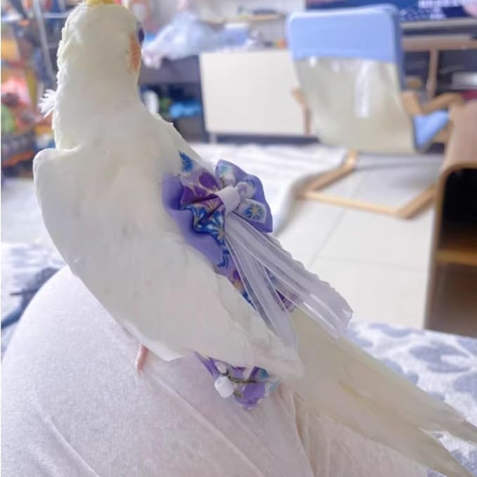 Bird Diaper Cockatiel Clothes Flight Suite, Reusable Parrot Nappy with Waterproof Inner Layer, Cute Pigeon Pants Urine Wet Suit Costume for Conure Macaw (Red,XS)