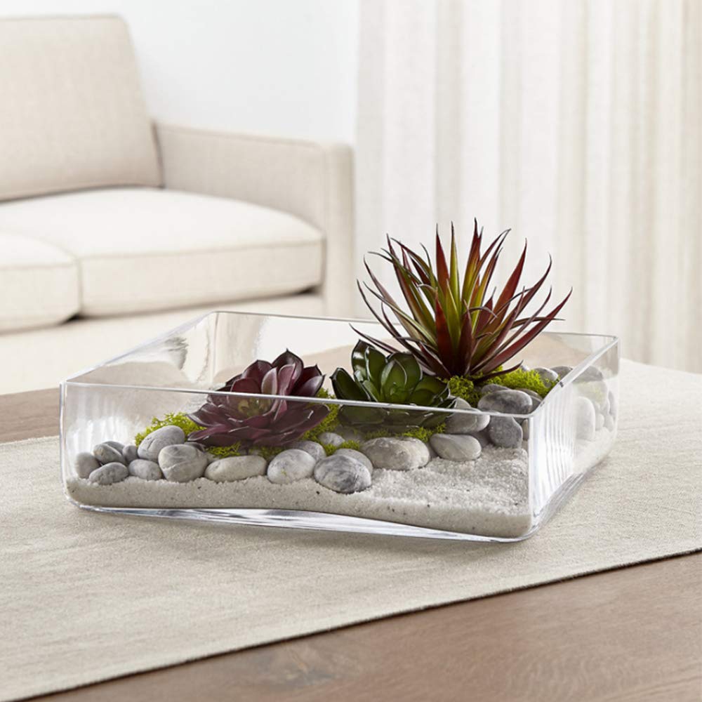 WGV Square Block Glass Vase, Length 10", Height 4", Clear Large Planter Terrarium, Floral Container for Wedding Party Event, Home Office Decor, 1 Piece