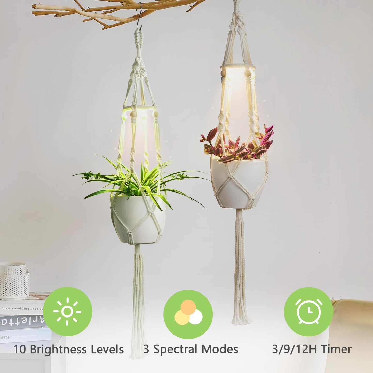 MSFON 2 Pack Macrame Plant Hanger with Grow Light: Sturdy Hanging Planters for Indoor Plants, Cute Plant Holder with Plant Light, Fits 5–9 Inch Pots (Daylight Spectrum)
