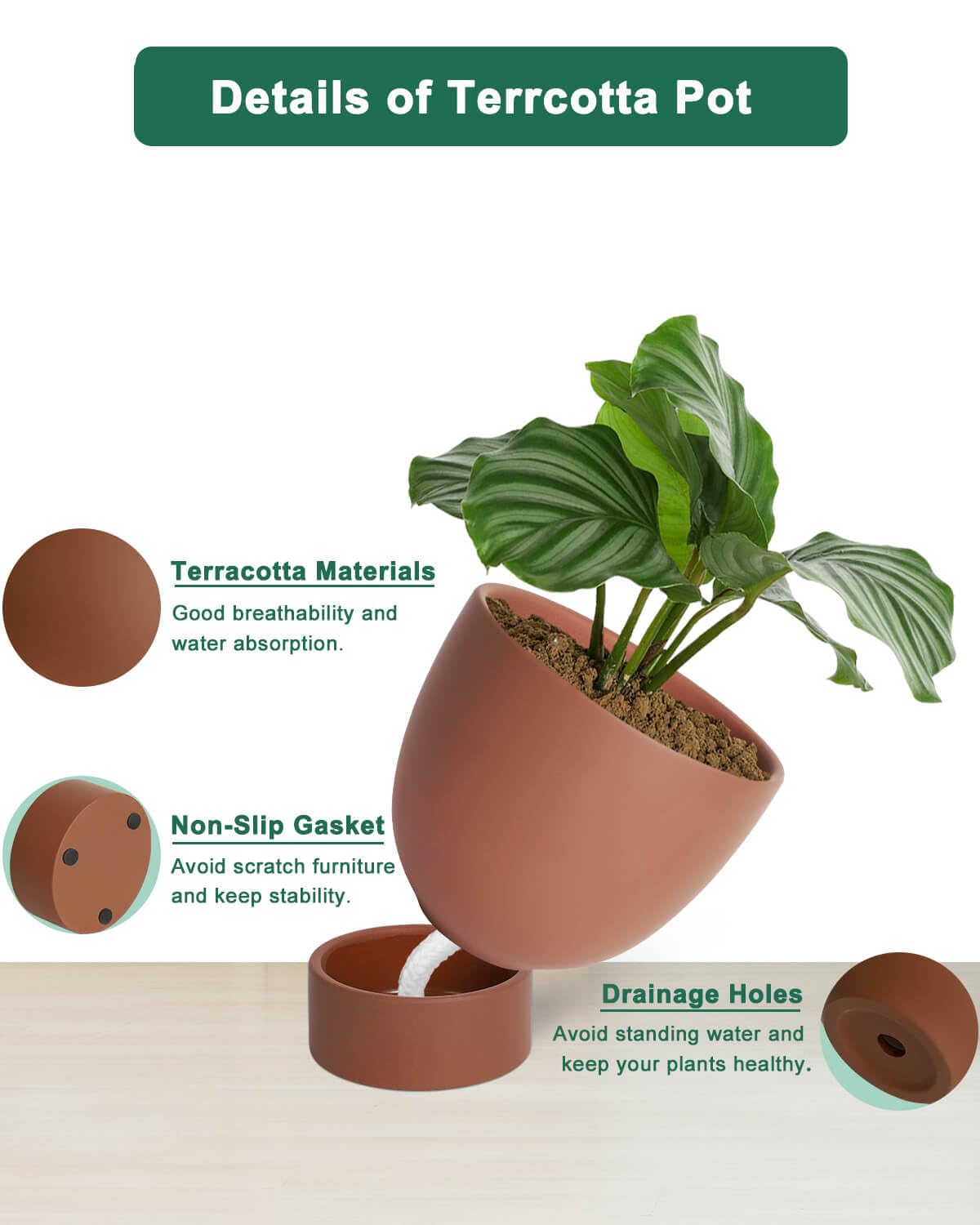vensovo Dark Terracotta Self Watering Plant Pot - 2 PCS 6 Inch & 8 Inch Terra Cotta Plant Pot with Drainage Hole and Saucer, Small & Large Clay Flower Pot with Tray, Planter for Indoor Outdoor
