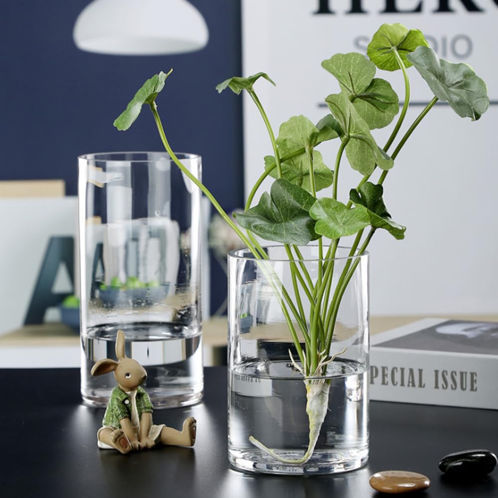 WGVI Quality Thick Clear Cylinder Glass Vase, 3" W x 5" H, Floral Container, Glass Candle Holder, Flower Vases, Wedding Centerpiece, Planter Terrarium, Table Top Home Décor Accent, 1 Piece
