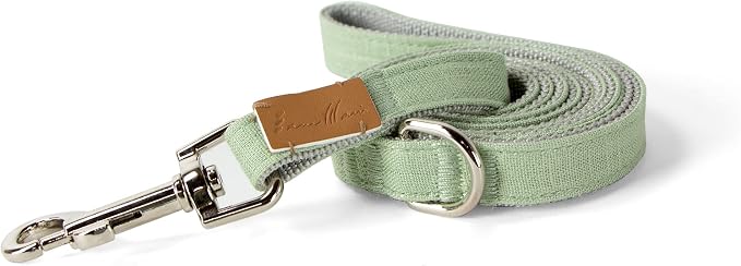 Sam and Maui Linen Blend Dog Leash with D-Ring, 4.5 FT Walking Lead for Small Dog, Green Tea S
