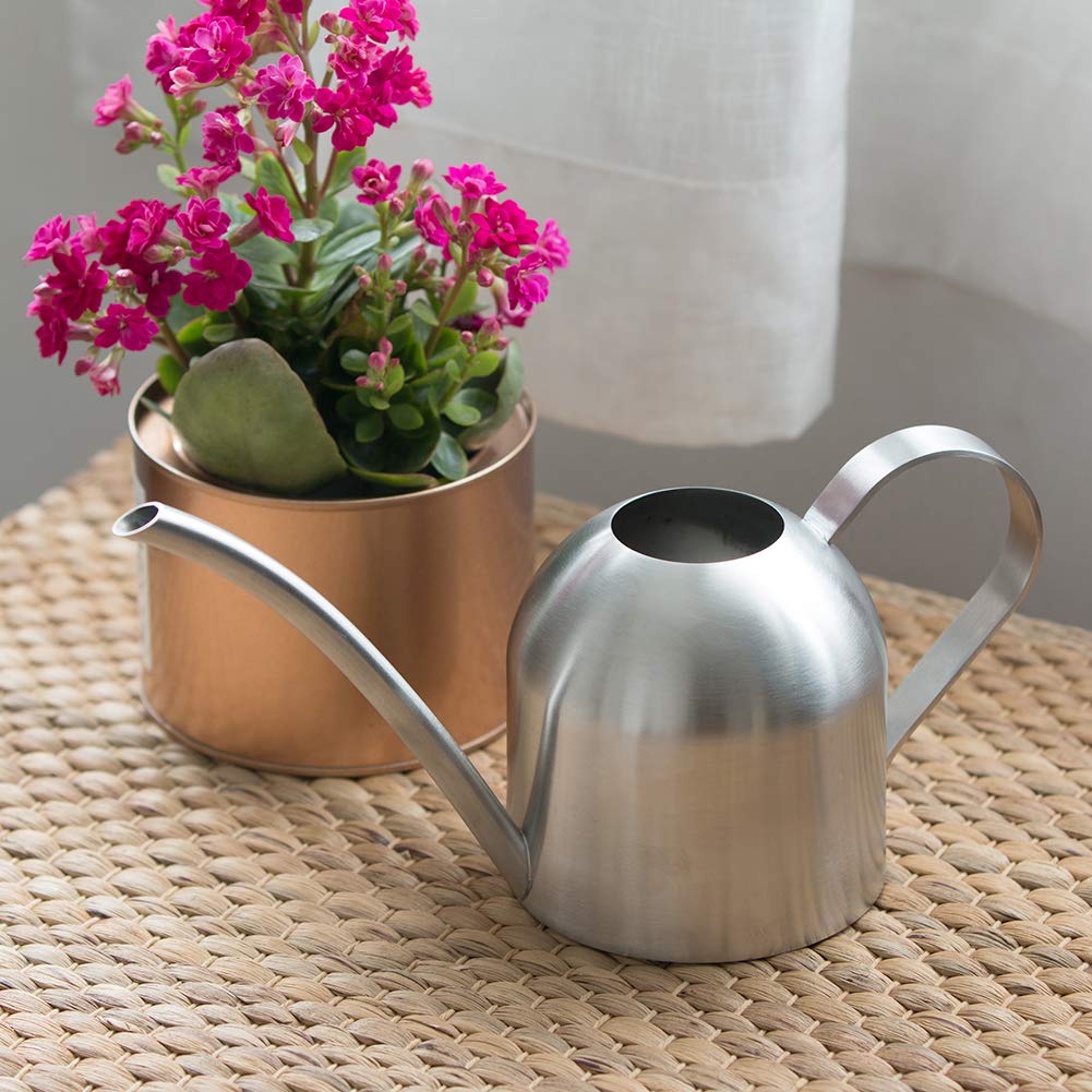 E.Palace Stainless Steel Water Can for Indoor Plants and Garden (30 oz)