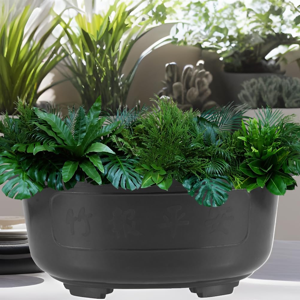 Angoily 2Pcs Bonsai Training Pot, 19 inch Plastic Bonsai Pot with Drainage Hole, Oval Planter for Desktop Decoration Nursery, Garden, Balcony, Office Desktop Decoration