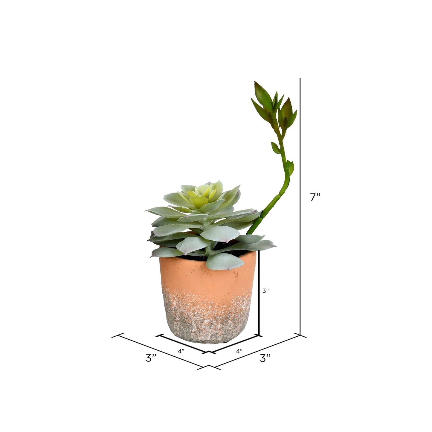 Vickerman Everyday 7" Indoor Assorted Potted Succulents - Pre-Made Potted Cactus - Durable Plastic Plants in Clay Pots - Maintenance Free - Set of 4