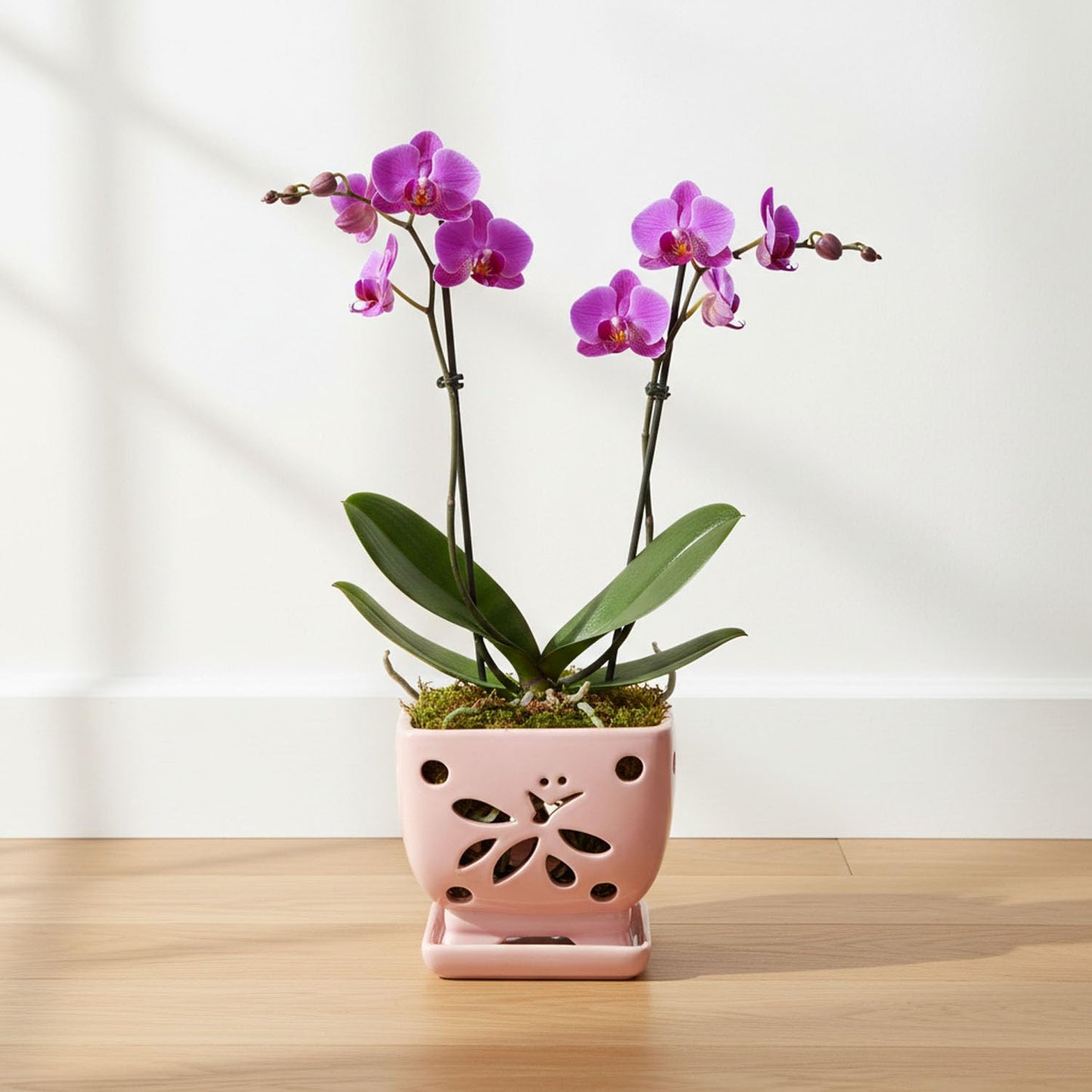 Grdthzey Orchid Pots with Holes Square Ceramic Orchid Planter Pots 5.5 inch (Pink)