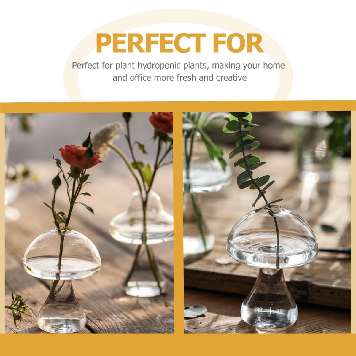 Zerodeko 2pcs Mushroom Shaped Glass Vases for Flowers Small Hydroponic Terrarium Plant Holders Decorative Office and Home Décor Containers