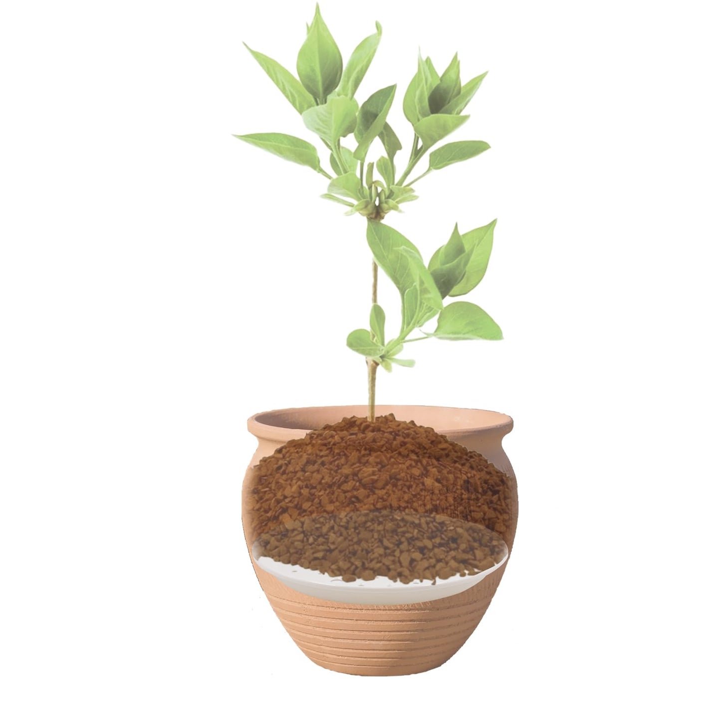 SnowTing 2 PCS Planter Insert for Large Pots, 8.66'' & 11'' Round Tall Flower Pot Liners with Drainage Holes, White Plastic Planter Inserts to Save Potting Soil for Indoor & Outdoor Use