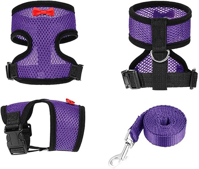 Chicken Harness and Leash Set Adjustable Mesh Breathable Duck Training Harness Pets Leashs for Goose Hen Rooster Parrots Dog Kitten, Red L