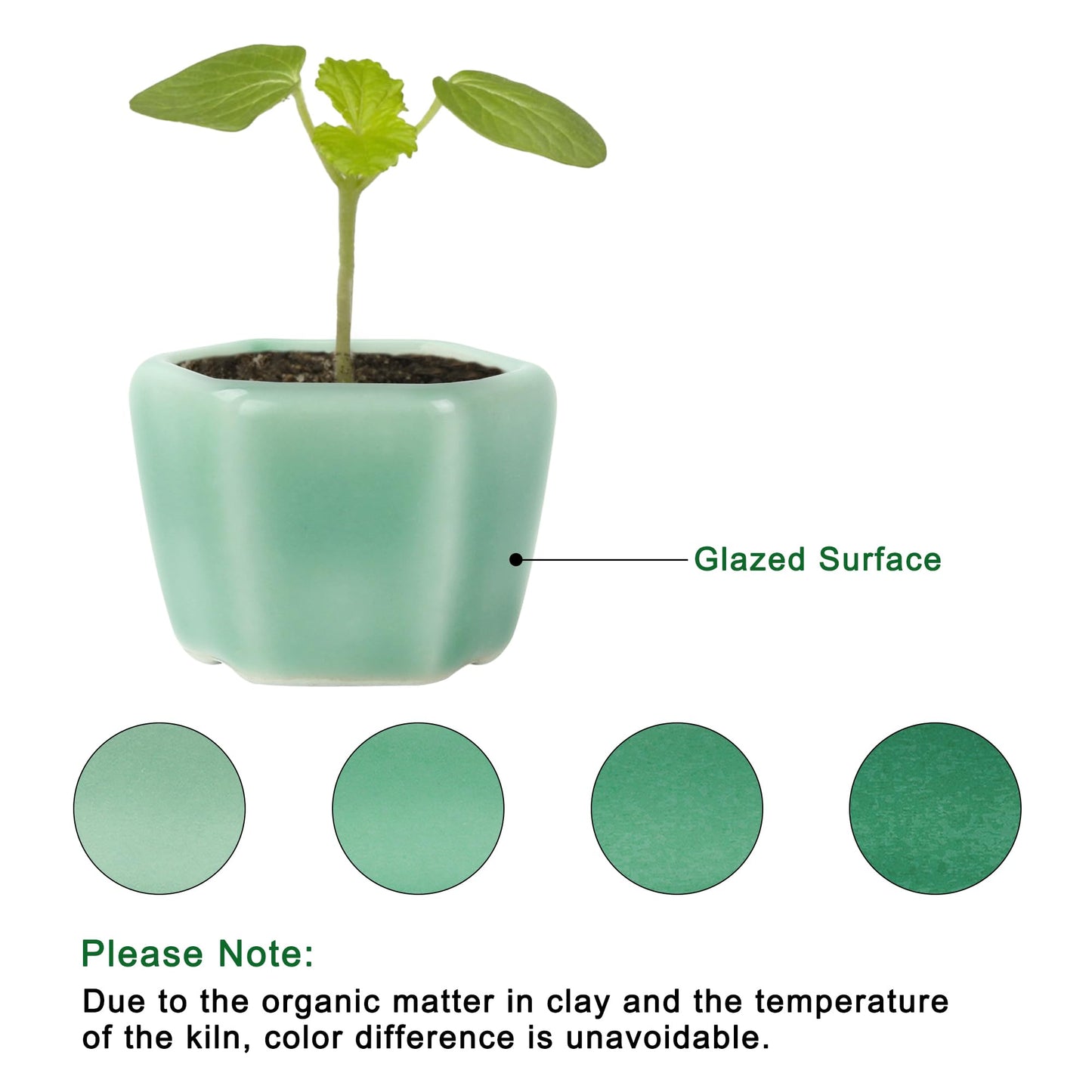 Bonsai Planter 1.8 inch (4.5cm) Mini Succulent Glazed Pots Set of 12 Green