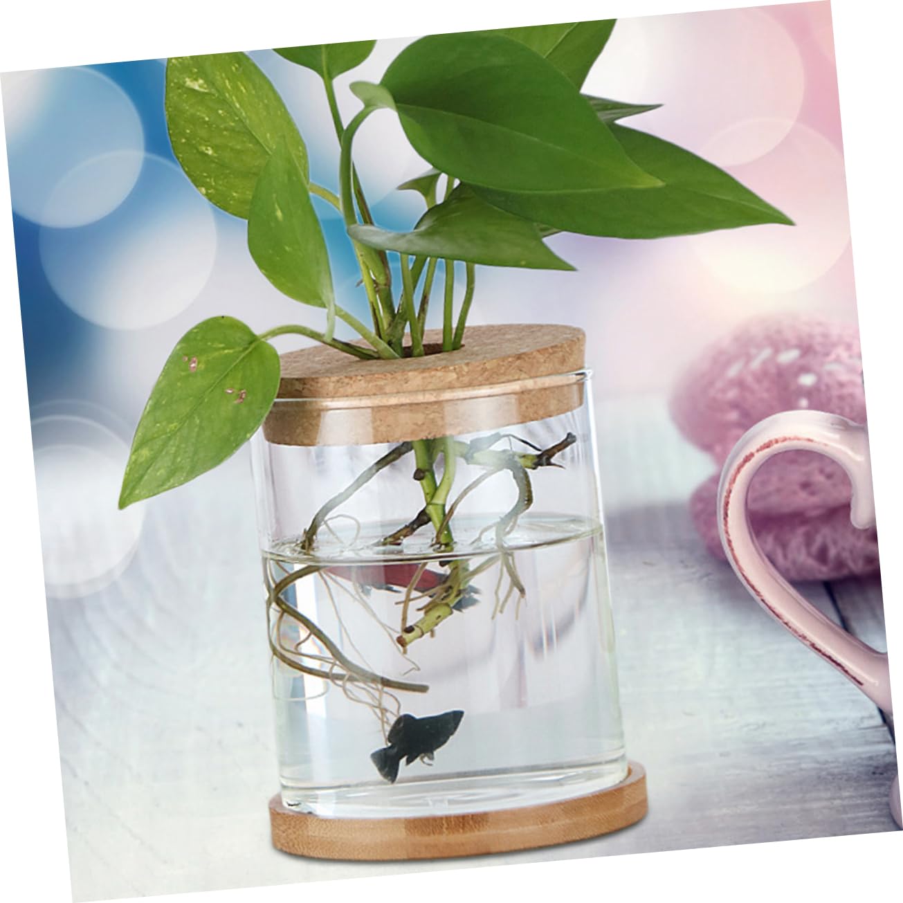 Cabilock 6Pcs Cork Lids for Hydroponic Vases Sustainable Transparent Glass Stoppers for Terrarium and Plant Propagation for Indoor Home Decor Elegant Micro Landscape Display