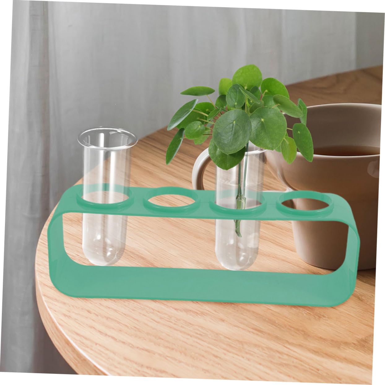 BESPORTBLE 5pcs Glass Test Tube Vases Set Hydroponic Plant Vase for Balcony Flower Preservation Plant Terrarium Indoor Planter