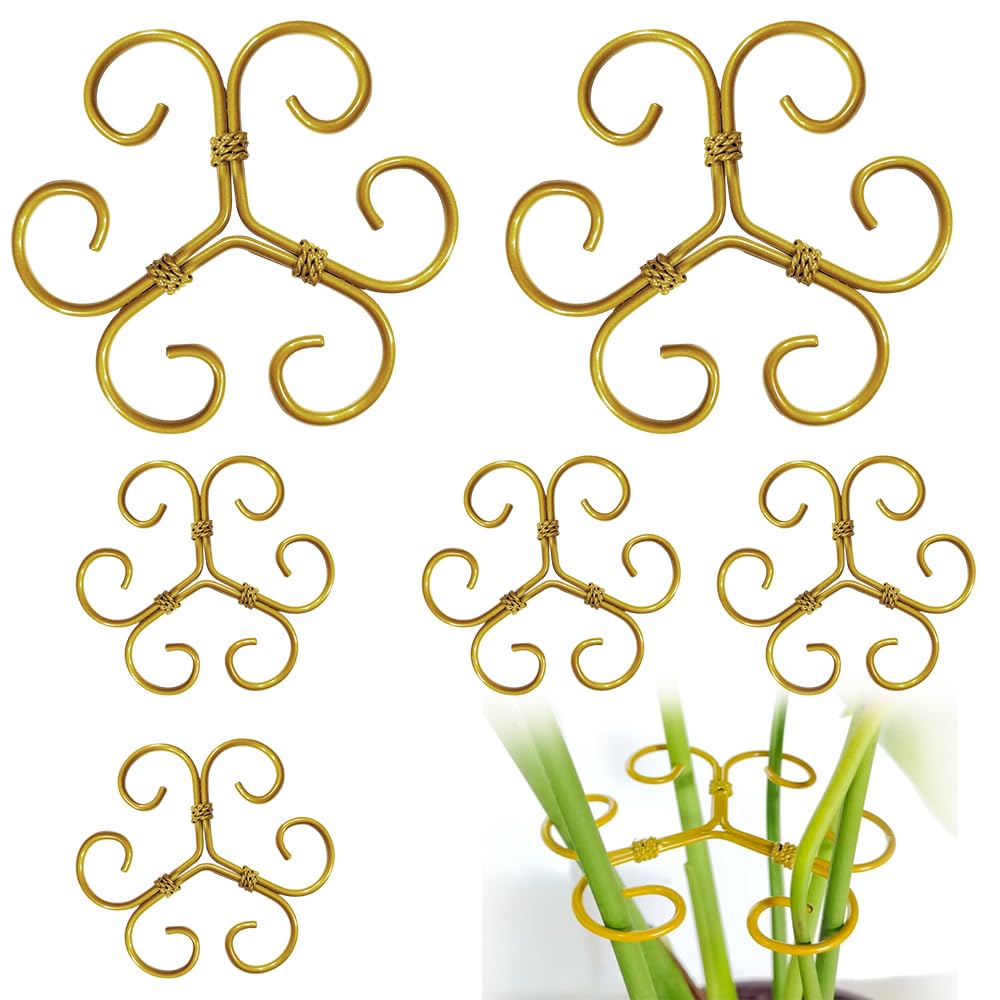 BADAO 6pcs Monstera Plant Support,Iron Stabilizer Grapple Holder for Indoor Plants,Outdoor Moss Pole Monstera Plant Support for Garden Flower Arranger(Gold)