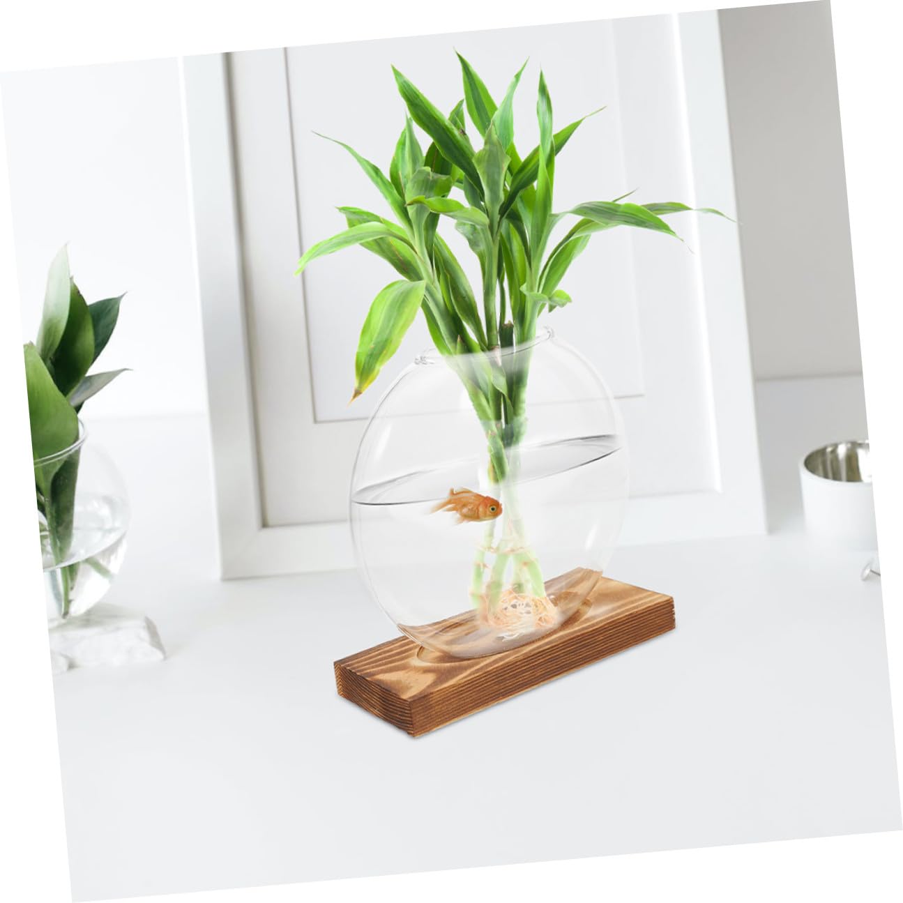 OUNONA 2pcs Hydroponic Propagation Glass Vessels with Wooden Base, Small Containers for Indoor Plants, Desk Terrarium Station for Home and Office Decor