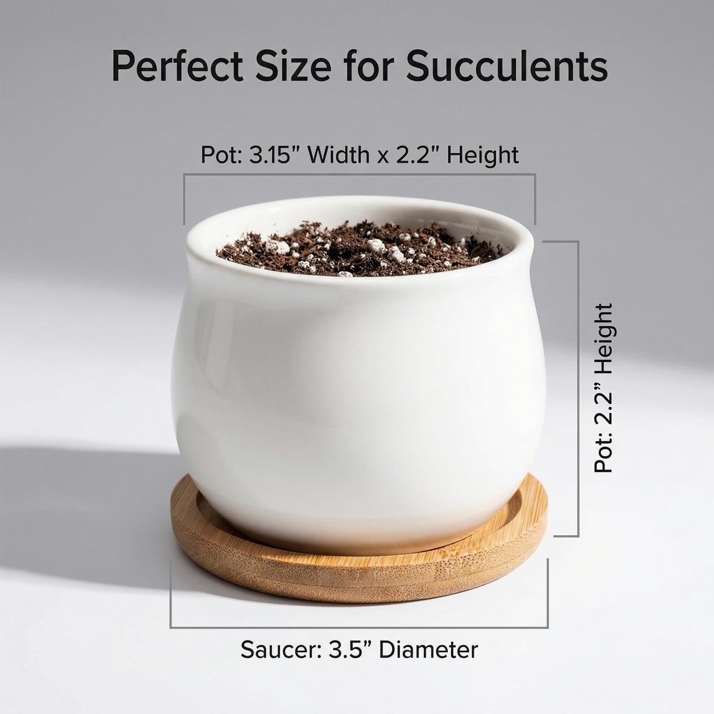 SHECIPIN Succulent Plant Pot, White Mini 2.6 inch Ceramic Flower Planter Pot with Bamboo Tray, Pack of 8 - Plants Not Included