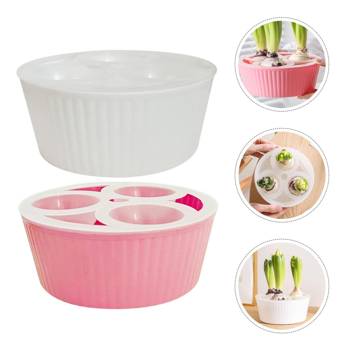MOBUTOFU 2Pcs Net Cups 3-Hole Hydroponic Bulbs Planter Pot Small Root Control Plastic Flower Pots Heavy Duty for Tulip Daffodils Narcissus Indoor Water Planting and Succulent Gardening Plastic