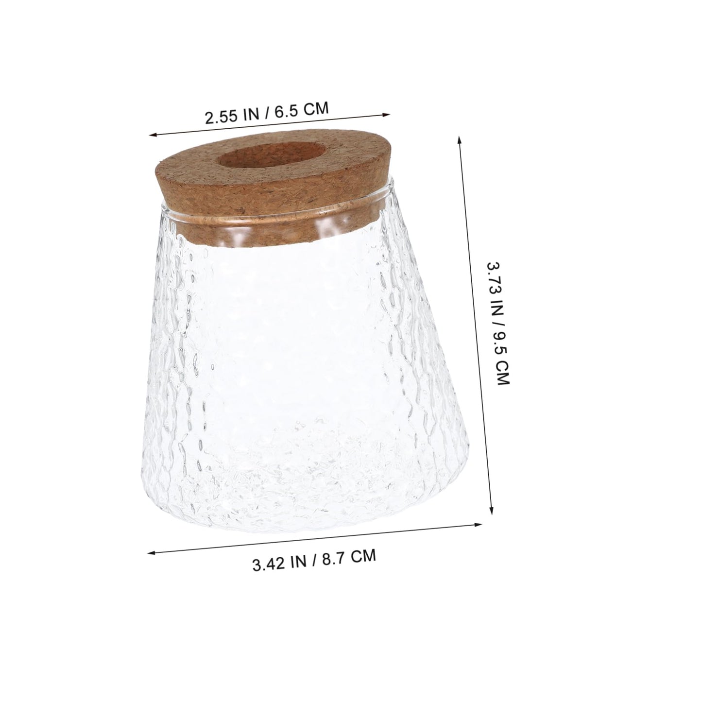 ibasenice 3Pcs Glass Hydroponic Plant Vases Compact Indoor Gardening Terrarium for Avocado Propagation Modern Desktop Decoration for Home Office Versatile Plant Propagation Jars