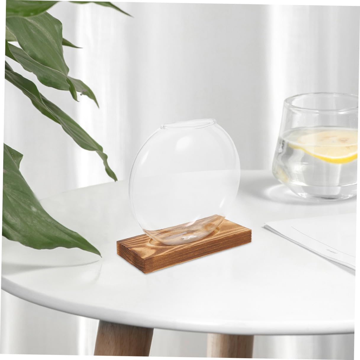 Toyvian 2pcs Hydroponic Glass Planter Vases with Wooden Stand Propagation Station for Indoor Plants Desktop Terrarium Suitable for Home and Office Décor