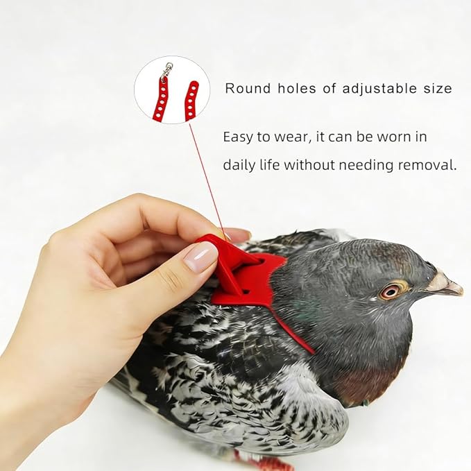 Adjustable Bird Harness & Leash Set for Small Birds,FitsBudgie,Parakeets, Conures, Cockatiels,Green Cheek,Quaker Parrots(Red, M) Z6350-3