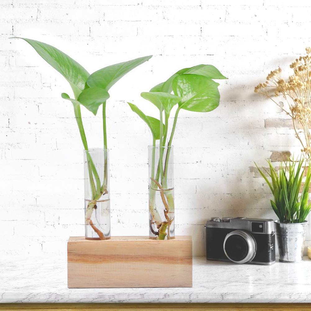 Zerodis Glass Test Tube Flower Pot Elegant Hydroponic Plant Vase Terrarium Container Home Decor for Succulents Miniature Shrubs Ferns Daily Decoration