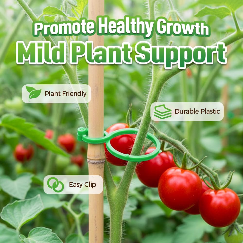 muxou Plant Stem Support,Plastic Plant Clips for Climbing Plants,Tomato Vine Clips,Plant Fixing Clips,Garden Clips (Green 50pcs)