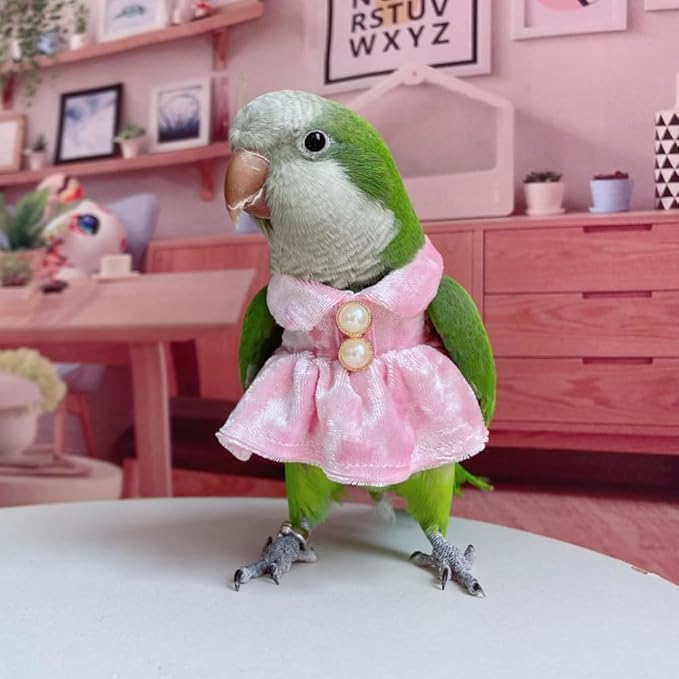 Bird Costume Bird Diaper Flight Suit Parrot Velvet Fleece Skirt Clothes Cosplay Photo Prop for Conure Lovebird Parakeet Cockatiel Macaw Small Animals Apparel (Pink,2M)