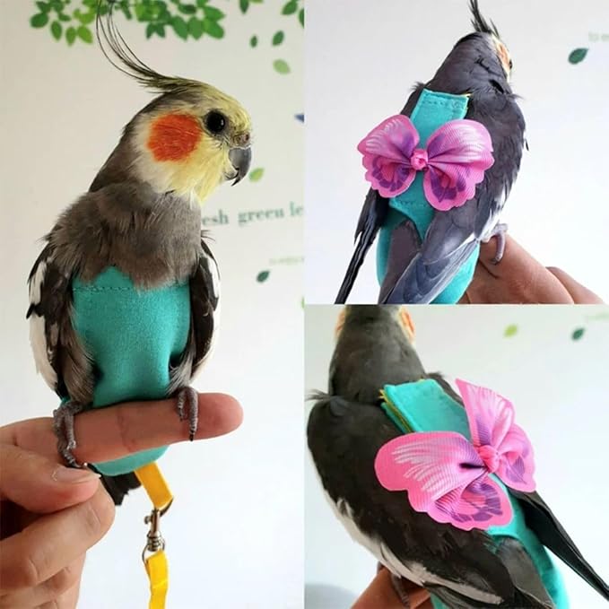 Bird Diaper Harness Flight Suit Clothes, Parrot Flight Suit with Leash for Parrot, Bird Flying Clothes for Outdoor Activities Training (Without Leash,M)